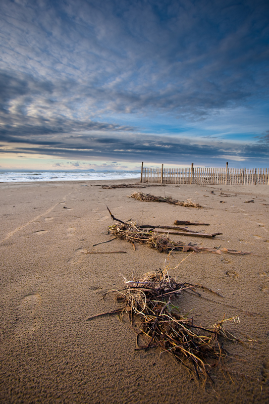 Sable de traine