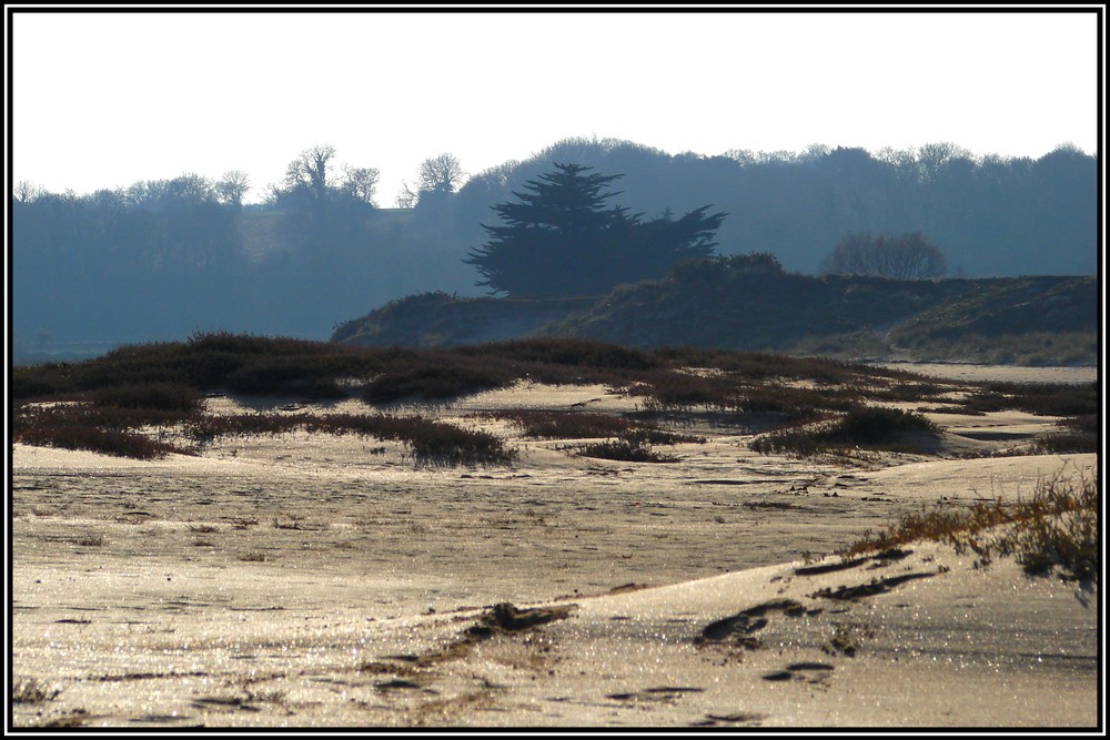 sables d'or