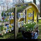 Sabots dans le Parc aux Tulipes de KEUKENHOF en Hollande