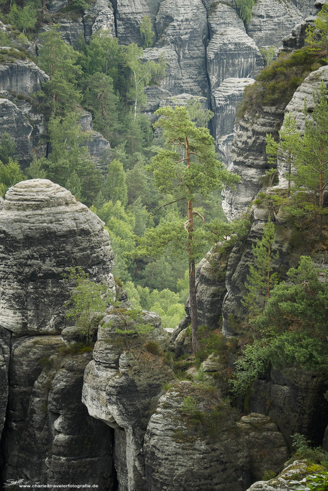 Sachsen [18] – Felsenmeer