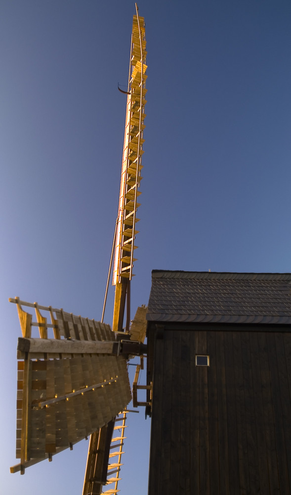 Sachsen - Flügel im Sonnenlicht