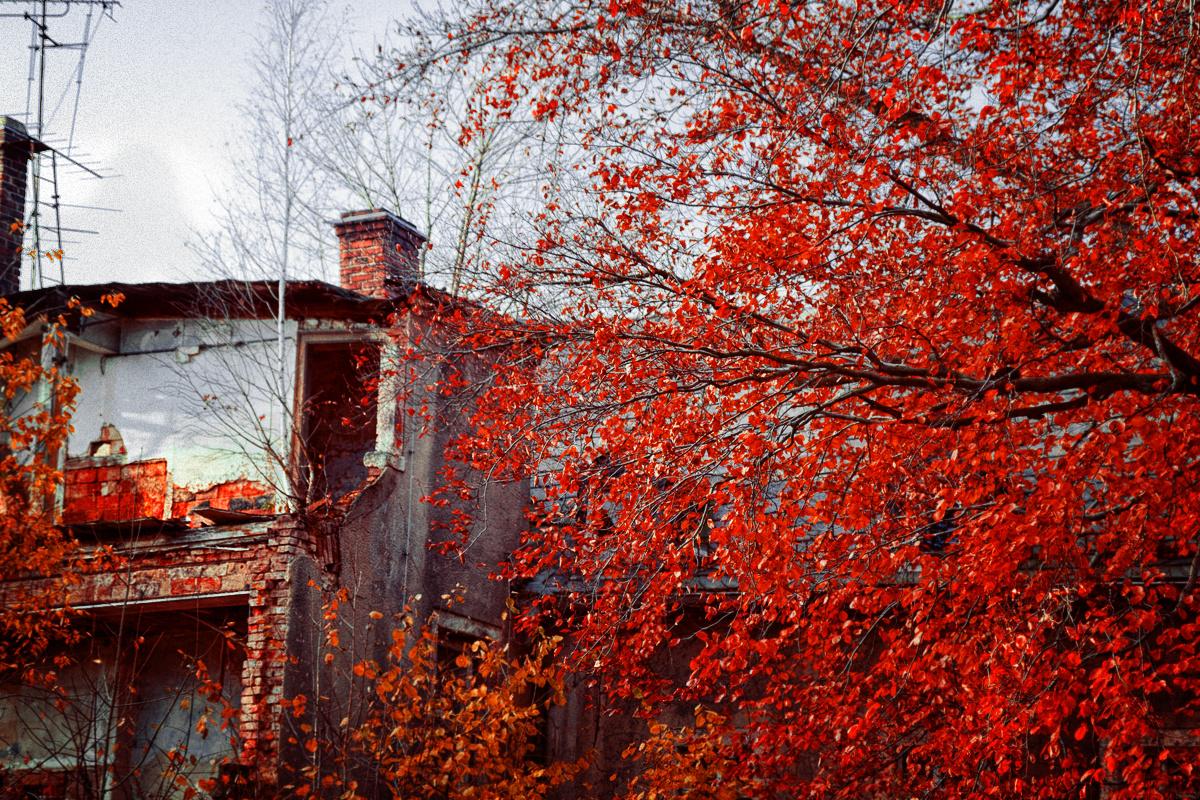 Sachsen Herbst