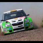 Sachsen-Rallye 2010 #3