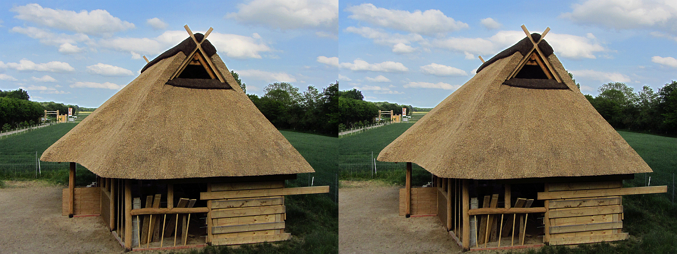 Sachsenhaus (3D X-Blick)