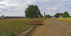 ... Sachsenhausen ...