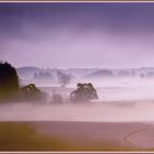 Sachsenrieder Nebel Jahr 2001  1