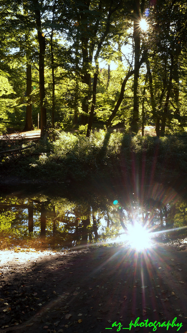 Sachsenwald, Friedrichsruh