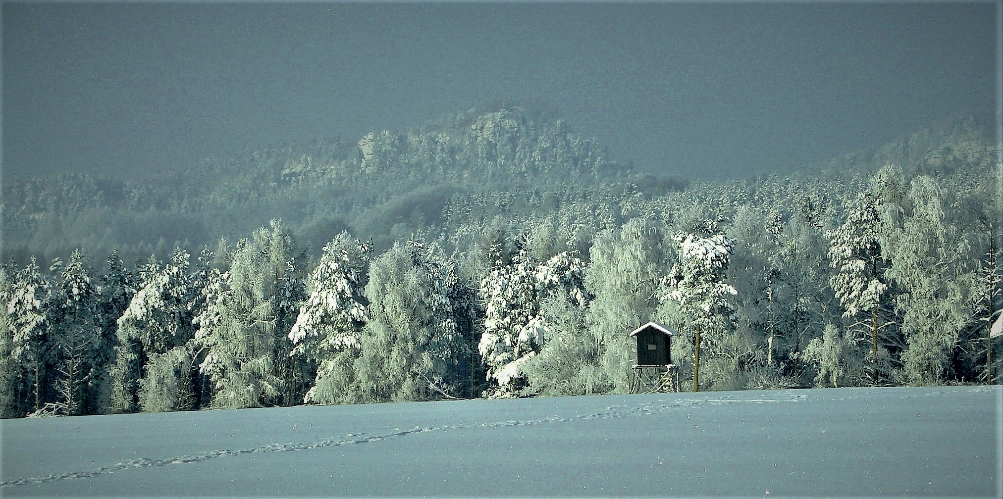 Sachsenwinter