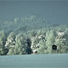 Sachsenwinter