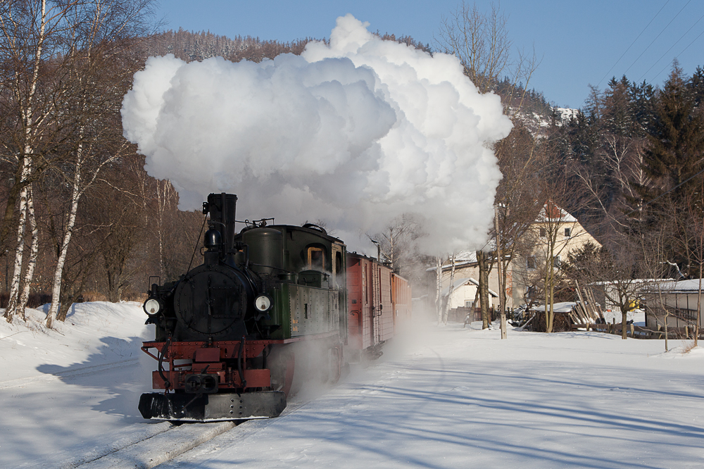 Sachsenzug im Winter (3)