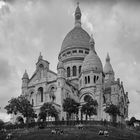 Sacre Coeur