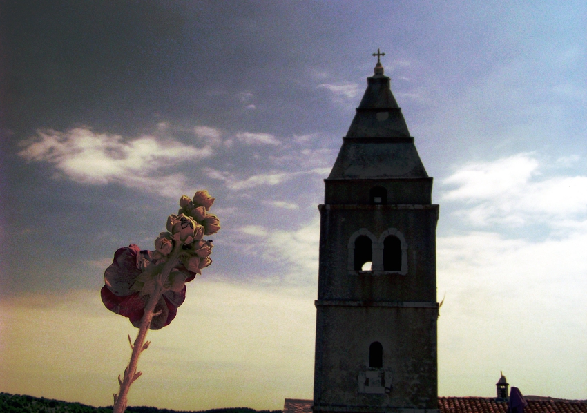 Sacred Flower