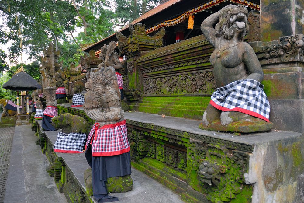 Sacred Monkey Forest in Ubud