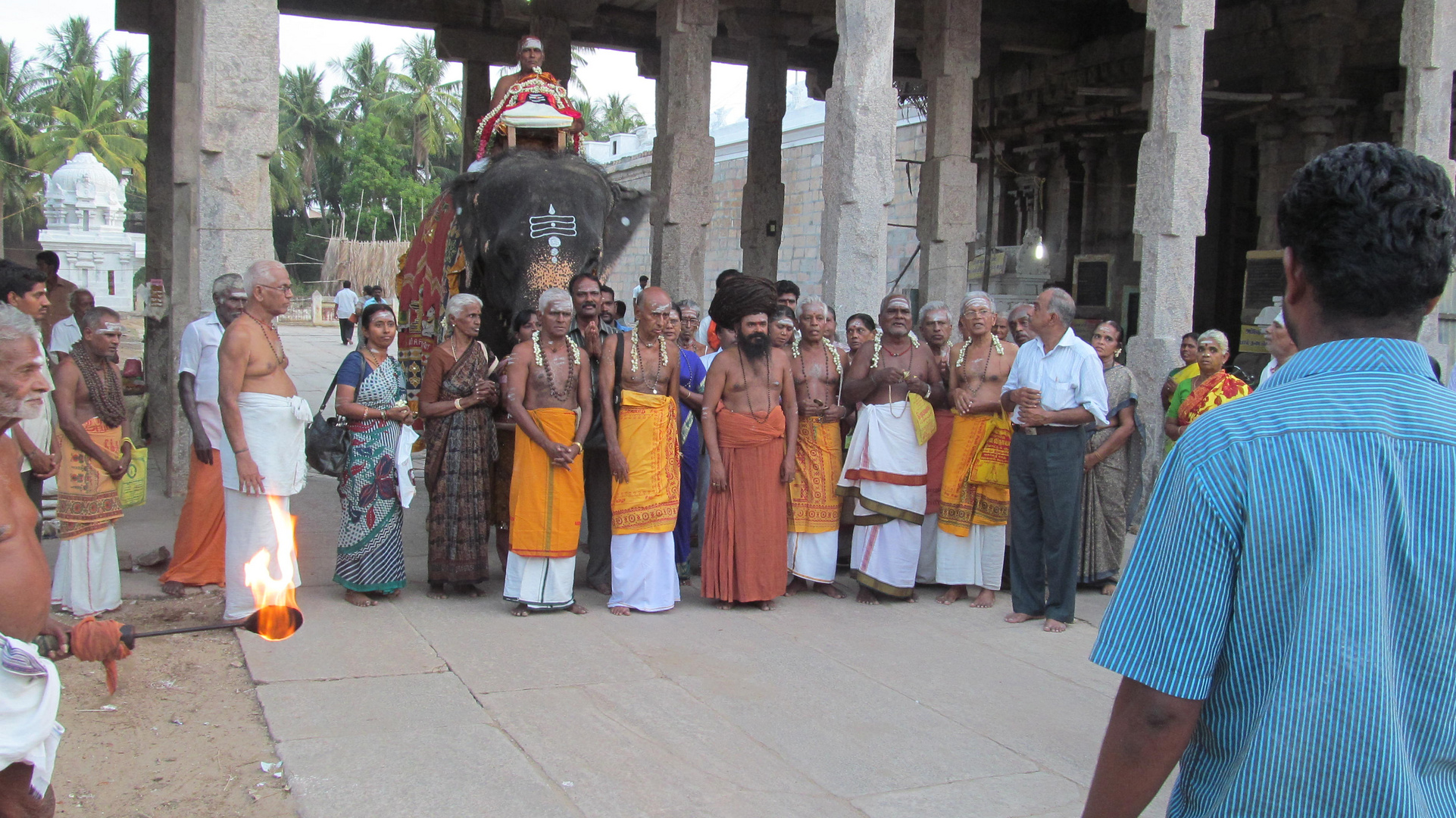 Sacred Temple Elephant - Temple Procession