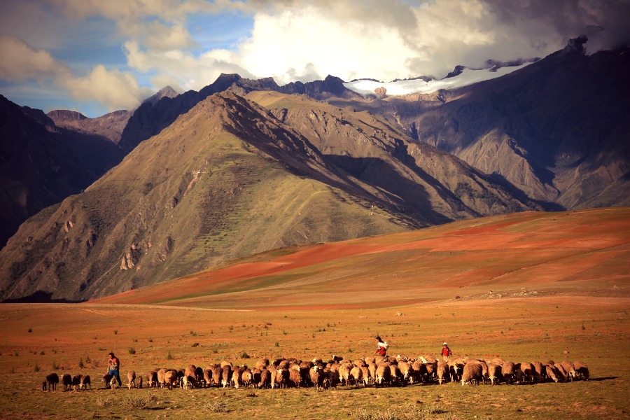 sacred valley magic