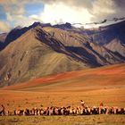 sacred valley magic