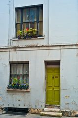 Sad house, happy flowers