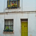 Sad house, happy flowers