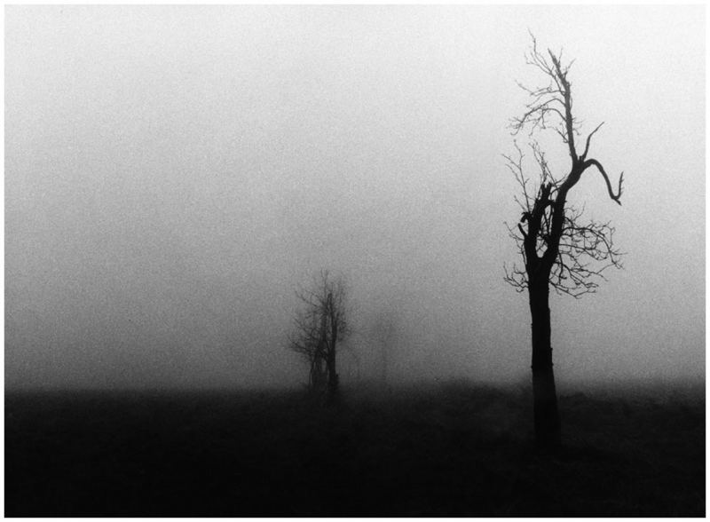 Sad landscape photo & image landscape, fields & meadows, nature