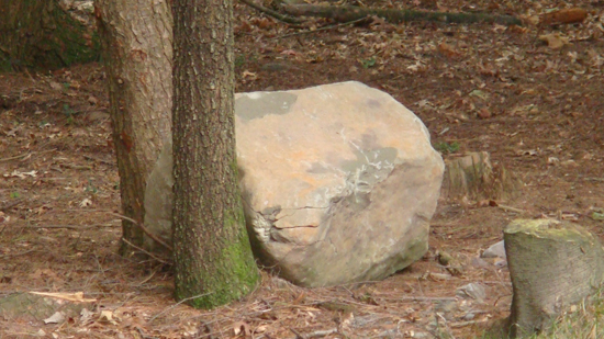 Sad Lion Rock