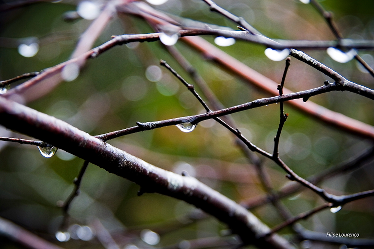 sad rain photo image