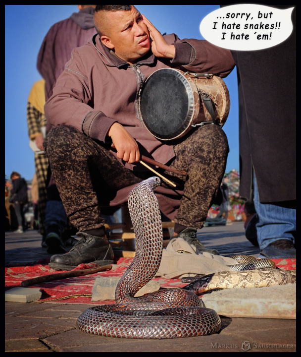 Sad snake charmer in Marrakech