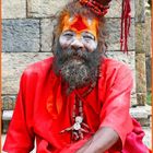 Saddhu