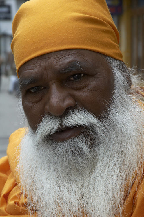 Saddhu