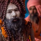 Saddhu auf der Kumbh Mela 2013