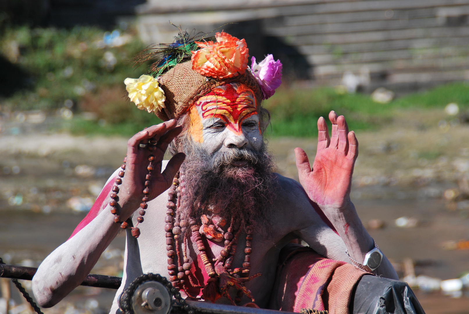 "saddhu" in pashupati