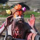 "saddhu" in pashupati