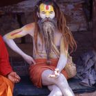 saddhu in pashupatinath ( kathmandu )