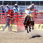 Saddle bronc riding