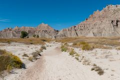 Saddle Pass Trail