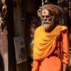 Sadhu