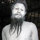 Sadhu