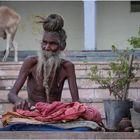 Sadhu