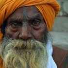 Sadhu