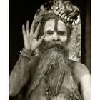 Sadhu