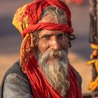 Sadhu