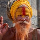 Sadhu