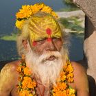 Sadhu