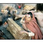 Sadhu aus Pashupatinath