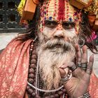 Sadhu