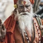 Sadhu Jaipur