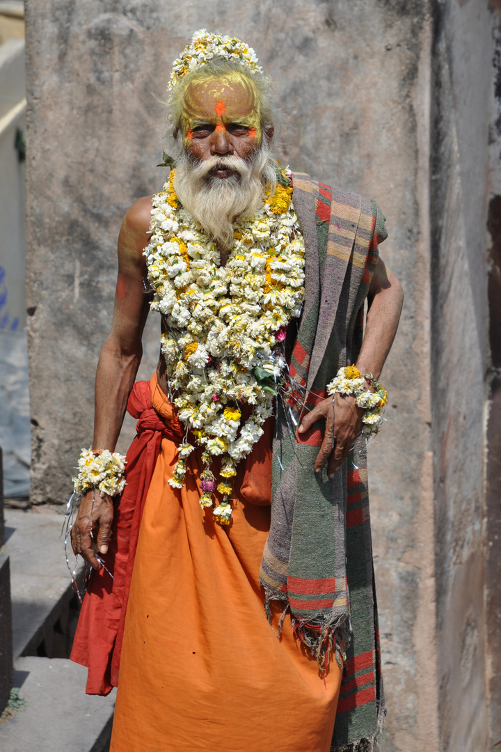 Sadhu, Wanderheiliger