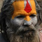 Sadhus, die heiligen Männer Nepals