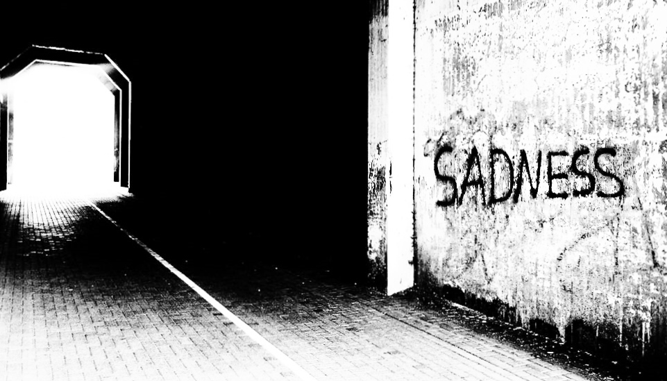 sadness  ...