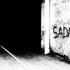 sadness  ...