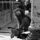 Sadu in Pashupatinath